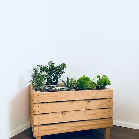 Urban Herbs 류블랴나