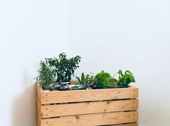 Urban Herbs 류블랴나